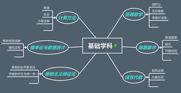 计算机学科的分类与网站建设的理论与实践